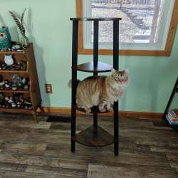 VASAGLE Corner Shelf Stand review – More room to display your favorite things