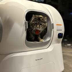 HomerunPET self-clean litter box review – The Cadillac of cat boxes