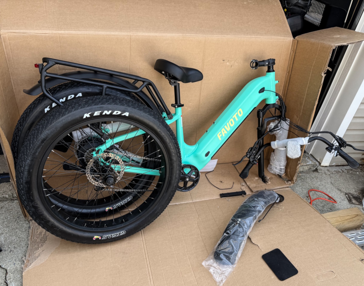 Favoto ebike 1