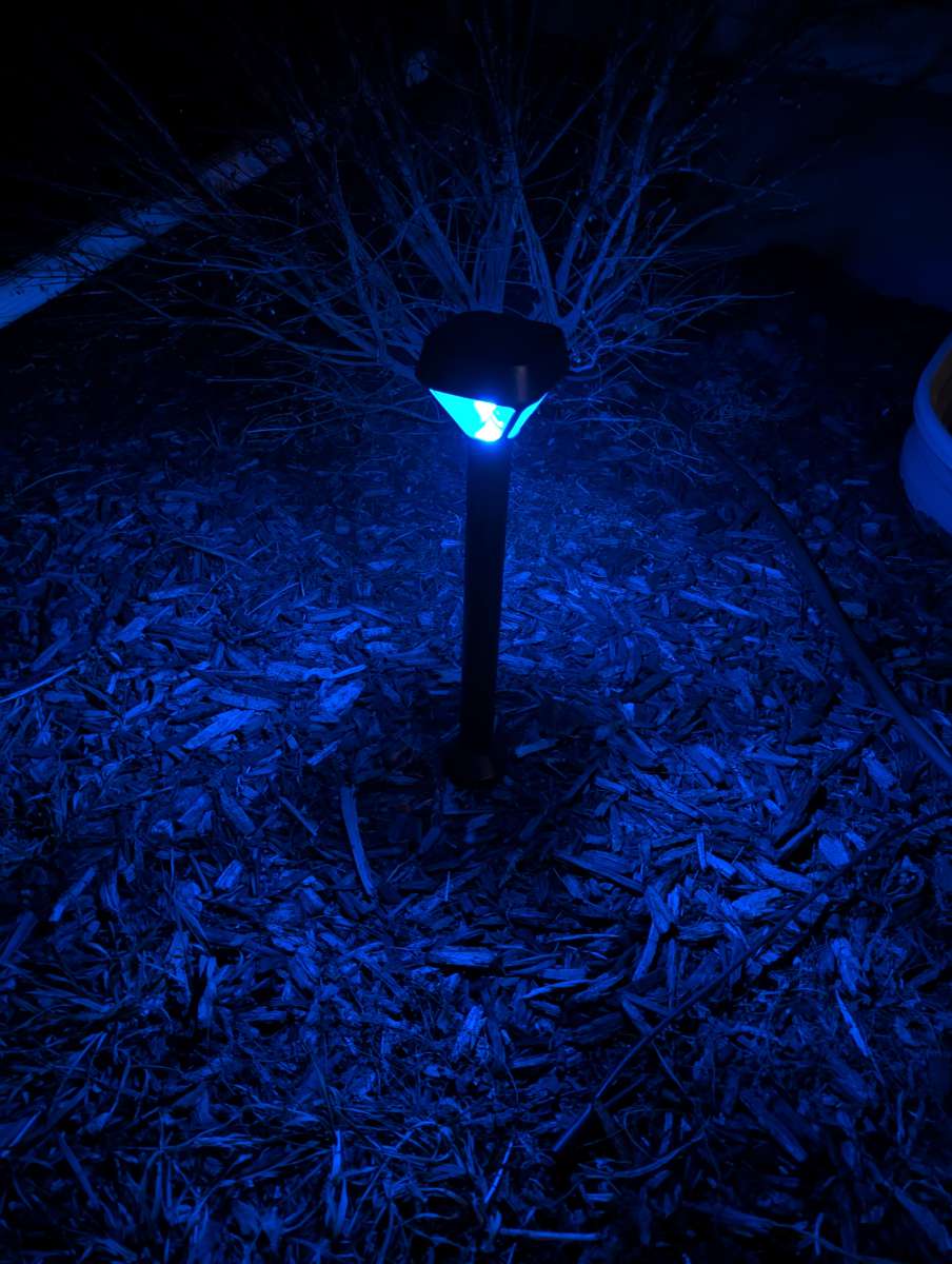 XMcosy Solar Pathlight 12