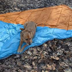 Teton Acadia outdoor camp blanket review – Warmth in a durable washable package, that leaves won’t stick to!