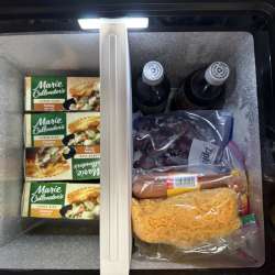 BougeRV CRX2 31QT Battery Powered Insulated Dual-Zone Portable Fridge review