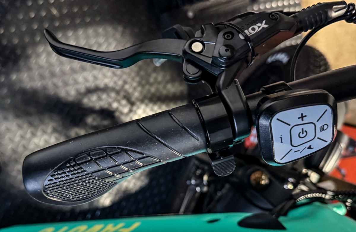 Favoto ebike 7