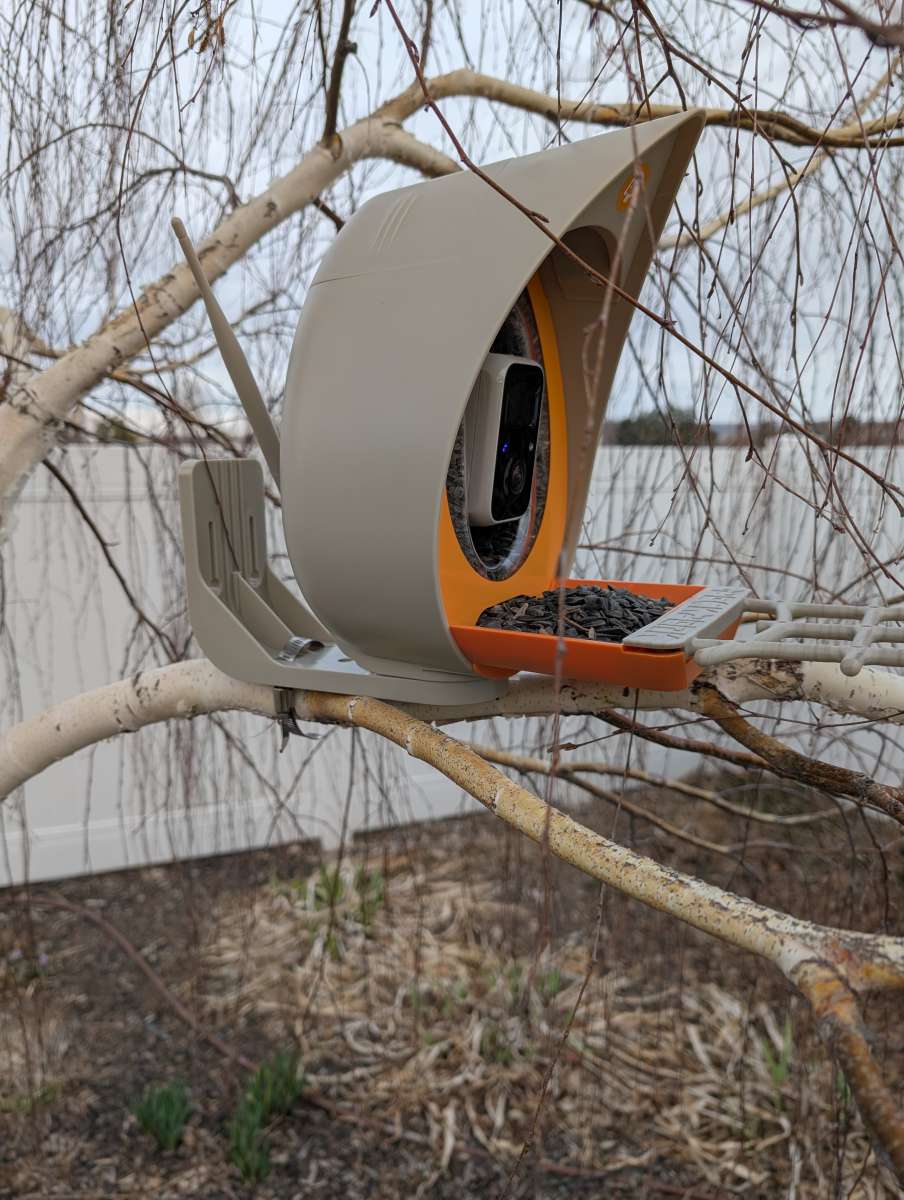 PeckPerk Bird Feeder 11