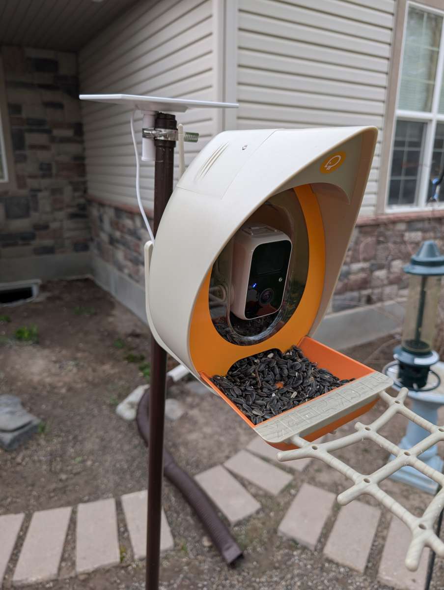 PeckPerk Bird Feeder 12