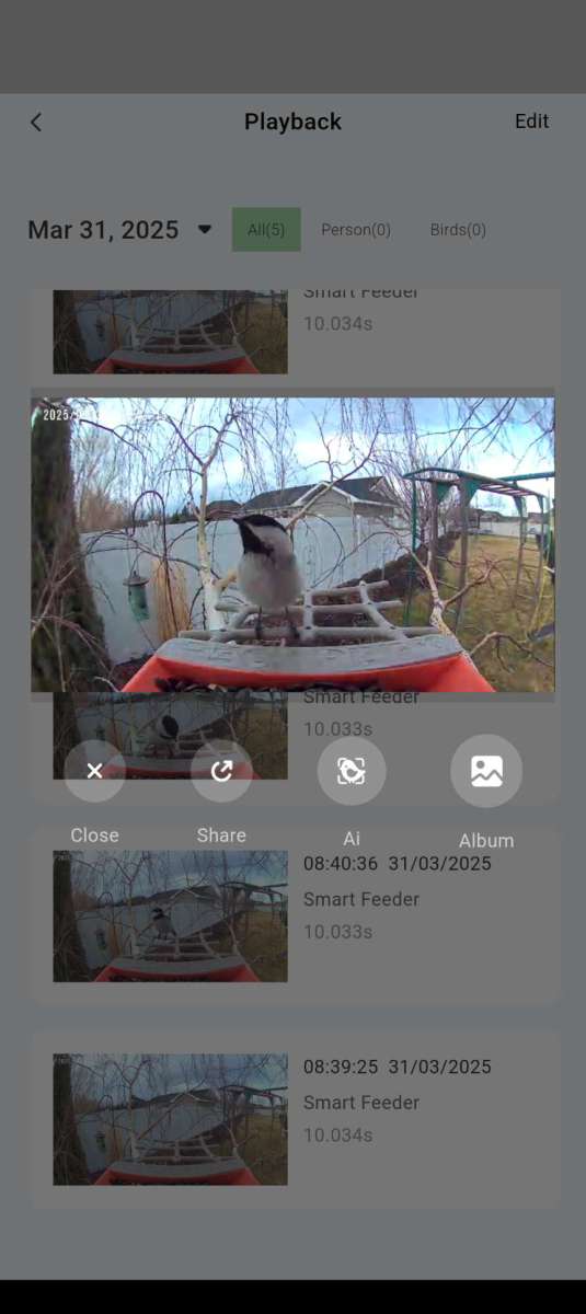 PeckPerk Bird Feeder 3 1