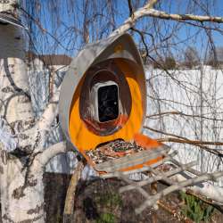 PeckPerk Bird Feeder review – A great way to birdwatch from afar