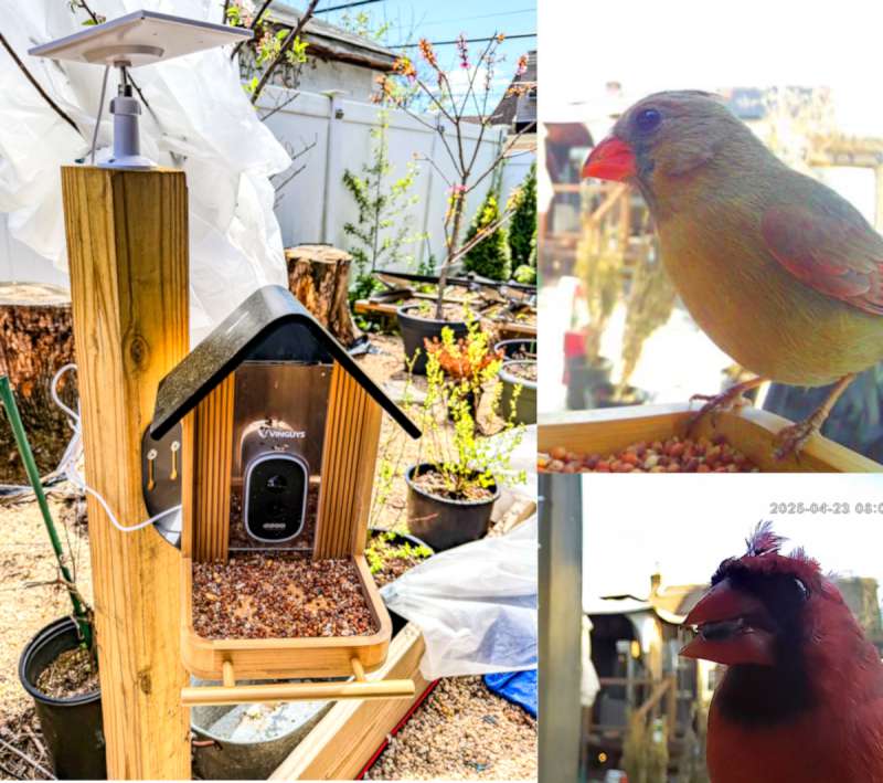 VINGUYS Smart Bird Feeder 1