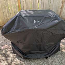 Ninja FlexFlame Grill 29