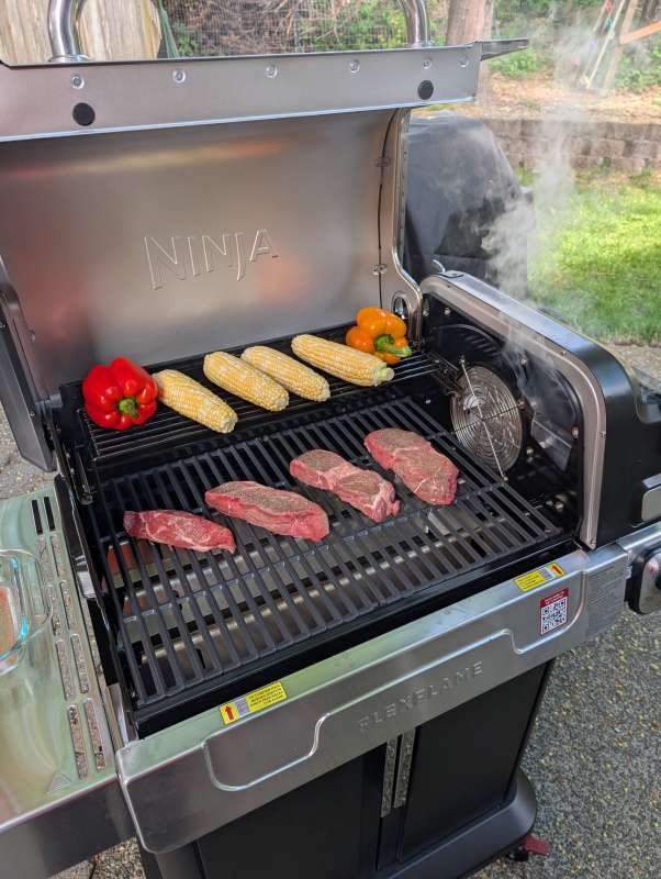 Ninja FlexFlame Grill 33