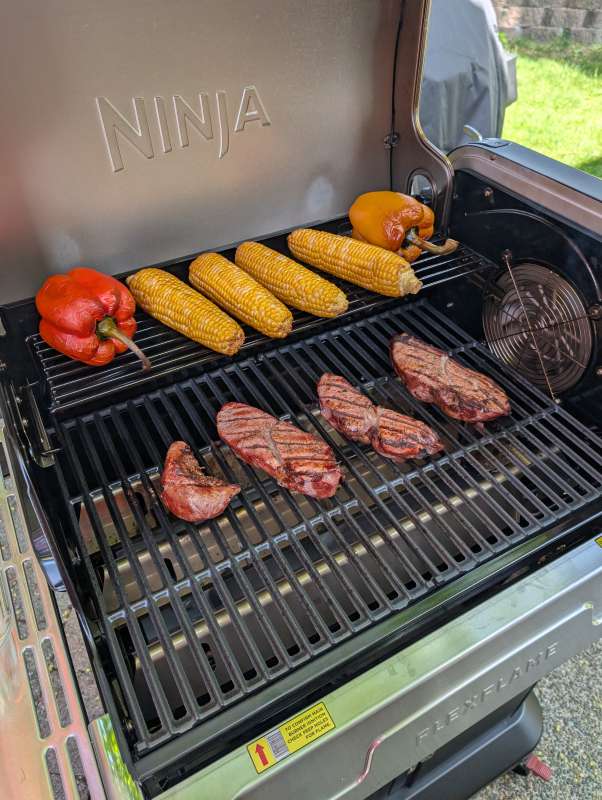 Ninja FlexFlame Grill 34