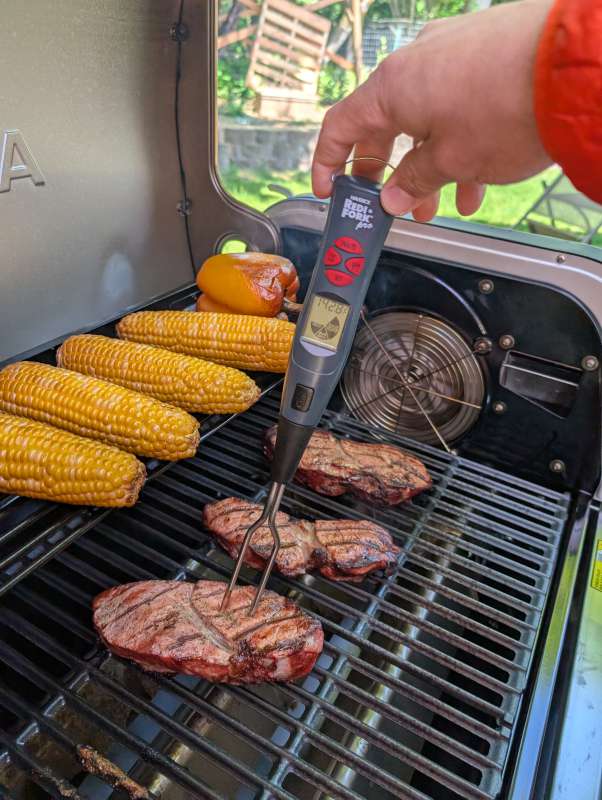 Ninja FlexFlame Grill 35