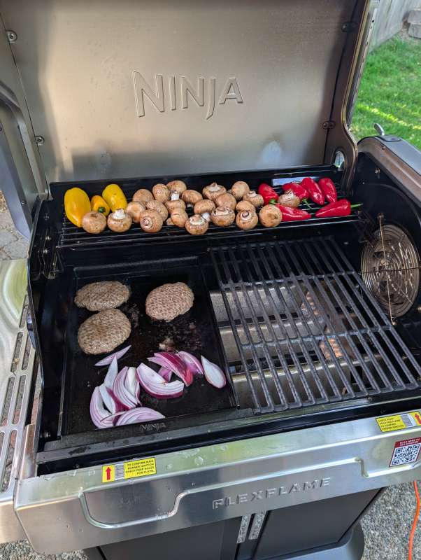 Ninja FlexFlame Grill 41