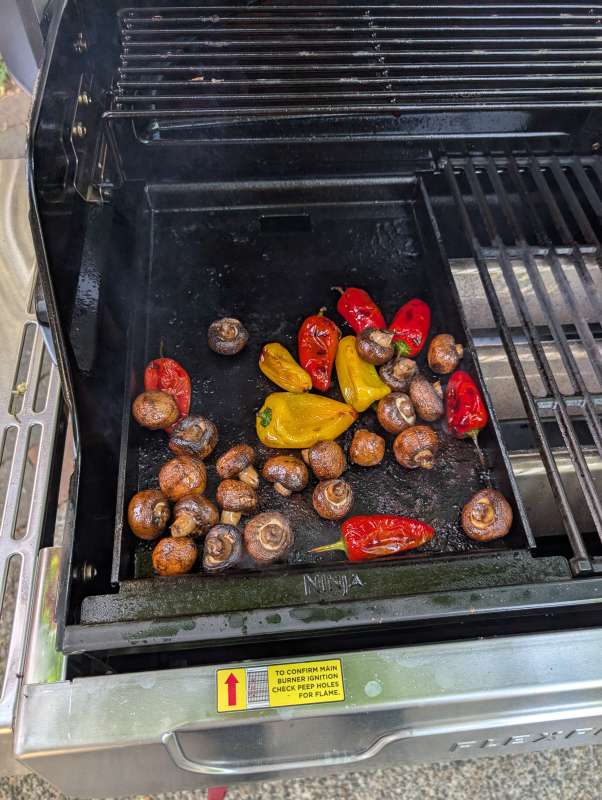 Ninja FlexFlame Grill 44