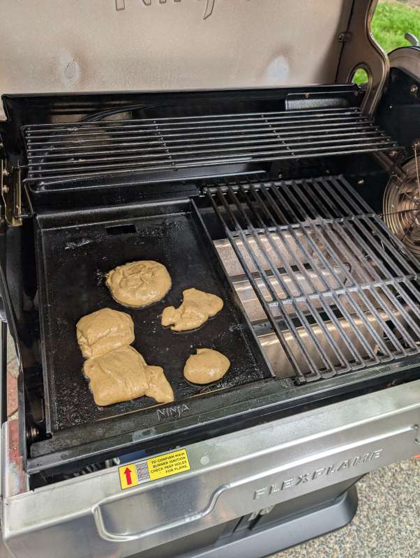 Ninja FlexFlame Grill 45