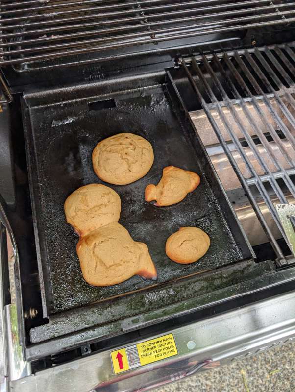 Ninja FlexFlame Grill 46
