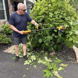 Lemolify 4-in-1 Weed Trimmer review – Offers a lot of options, but comes with a few cautions