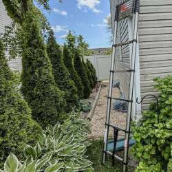Vevor Telescoping Ladder review