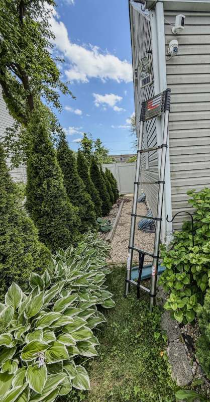 Vevor Telescoping Ladder 2