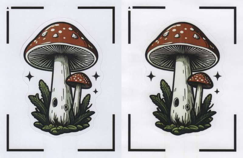 asub sticker laser