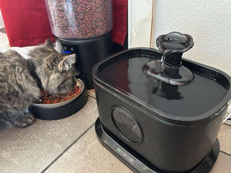 petlipo cordlesscatwaterfountain 16