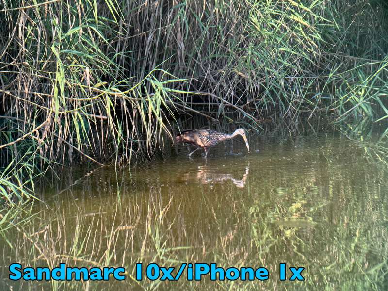 sandmarc 10xlens dockbirdgallery withlens iPhone1x