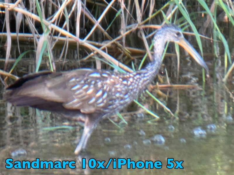 sandmarc 10xlens dockbirdgallery withlens iPhone5x