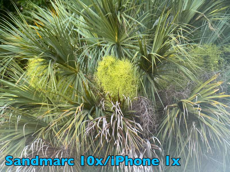 sandmarc 10xlens palmtreegallery withlens iPhone1x