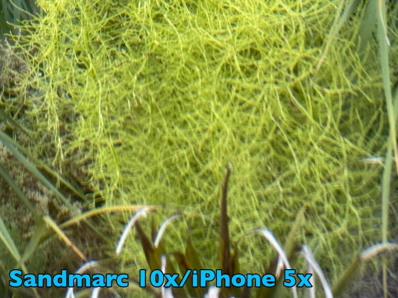 sandmarc 10xlens palmtreegallery withlens iPhone5x