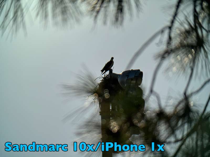 sandmarc 10xlens treebirdgallery withlens iPhone1x
