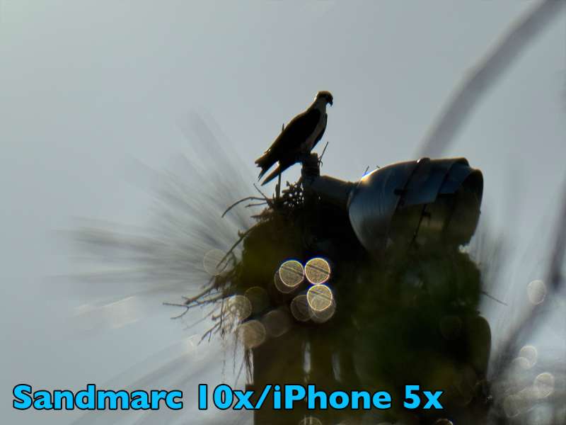 sandmarc 10xlens treebirdgallery withlens iPhone5x