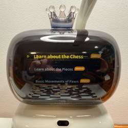 senserobot chess 13