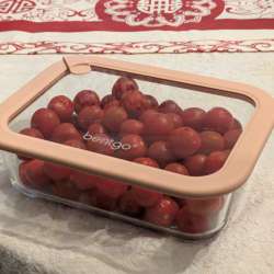 Bentgo Signature Glass Food Storage Set review – So far, so perfect