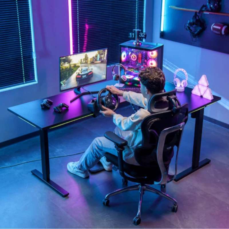 flexispot pd 2