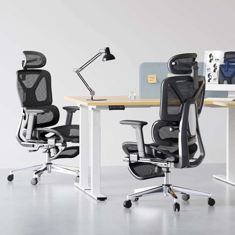 flexispot pd 5