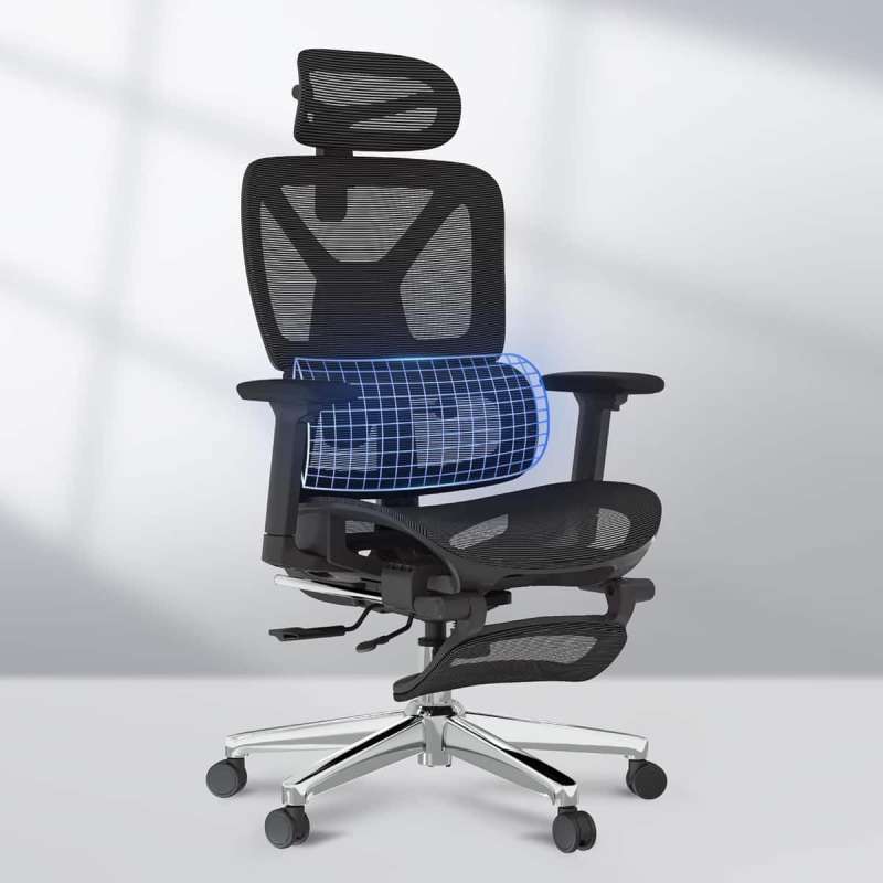 flexispot pd 6