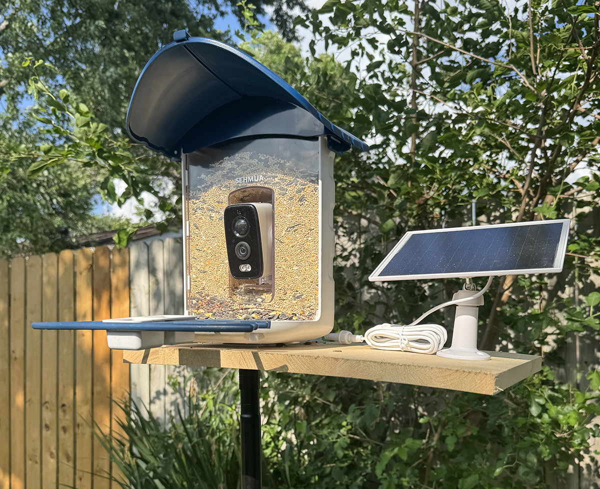 sehmua feeder 1