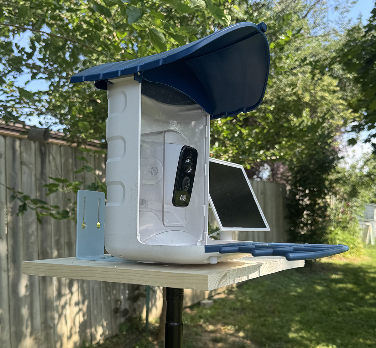 sehmua feeder 2