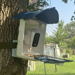 SEHMUA solar powered smart bird feeder review – a bird feeder with AI identification