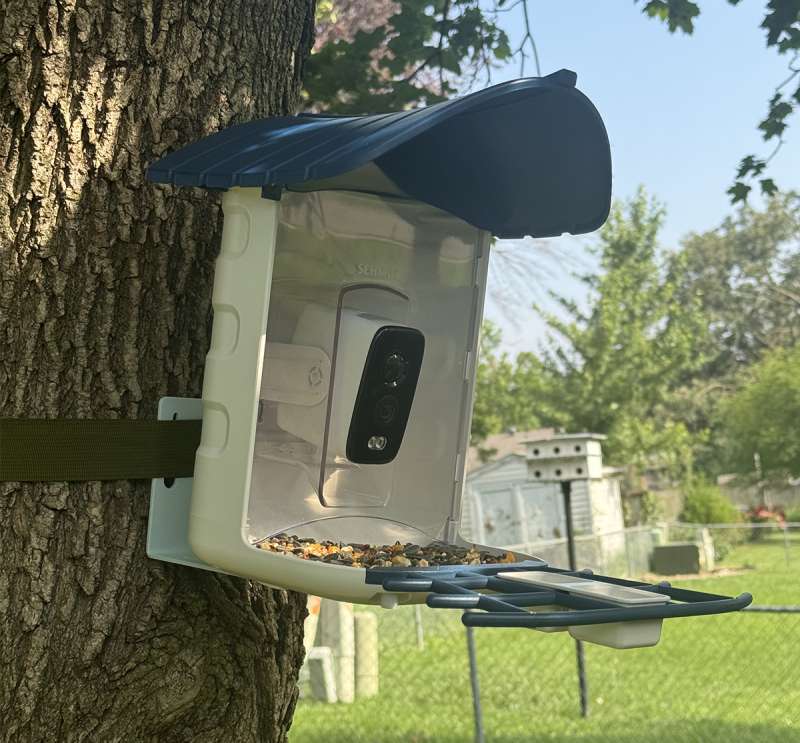 sehmua feeder 7