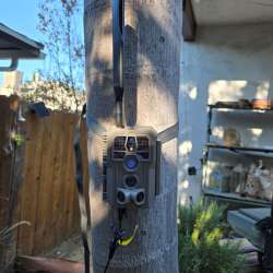 GardePro X66 Pro cellular trail camera review