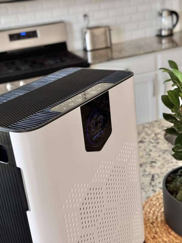dayette air purifier 11