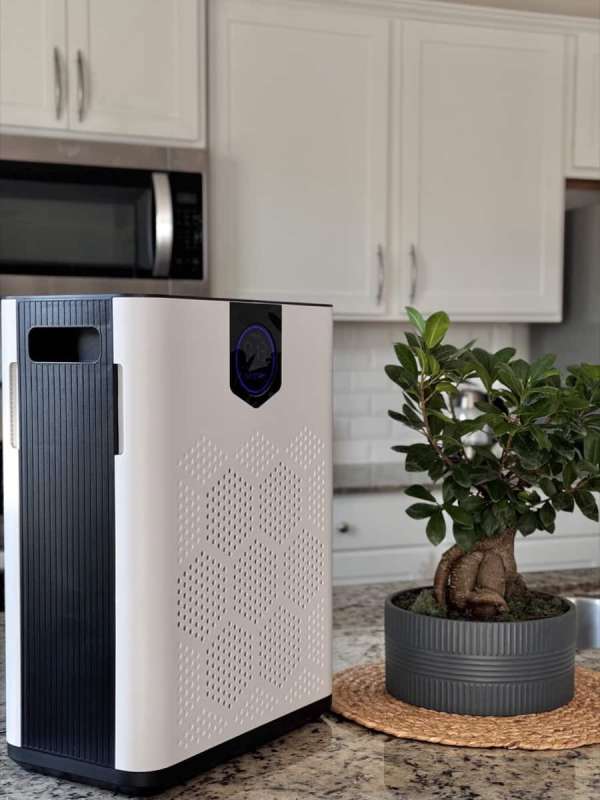 dayette air purifier 12