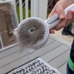 feelneedy catsteambrush 11