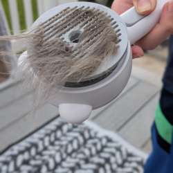 feelneedy catsteambrush 12
