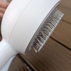 feelneedy catsteambrush 2