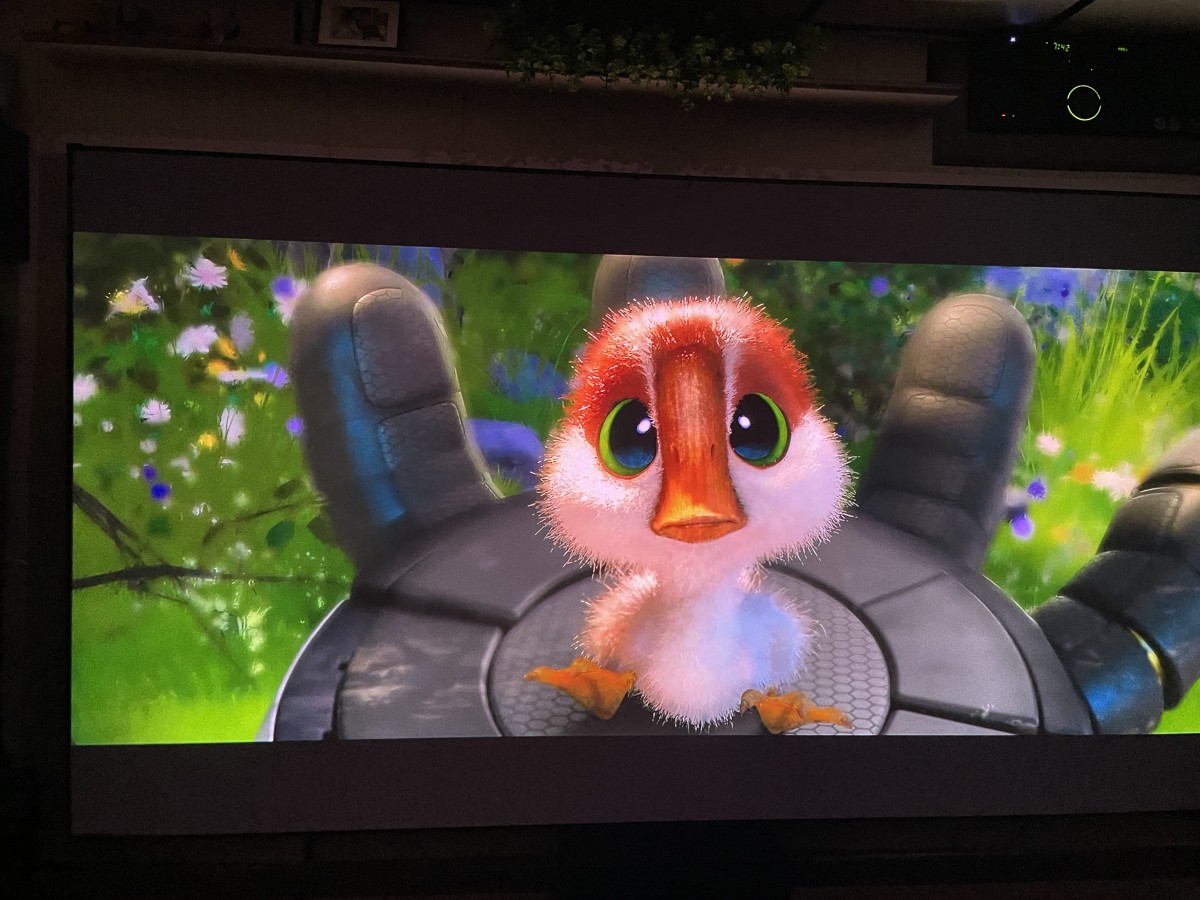 Nothing Projector ALR UST Screen 22