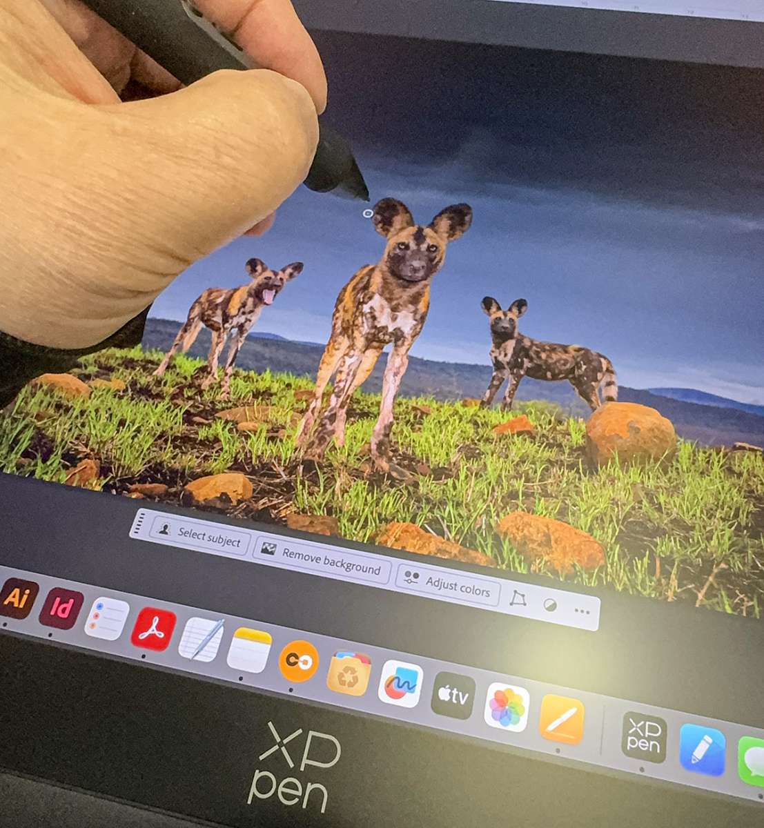 XPPen Artist 19 3