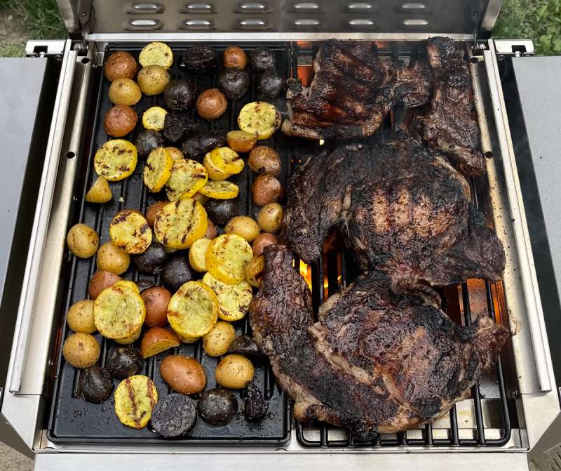 G20B Grill 4