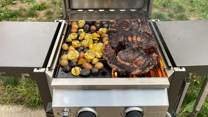 G20B Grill 5